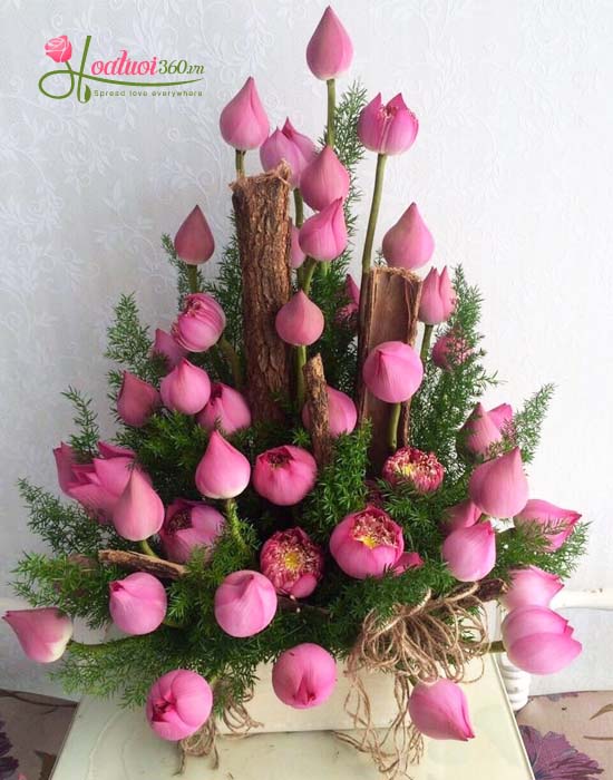 199 Best Types of Flowers for Congratulations